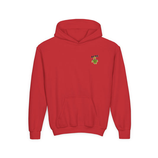 Youth Hoodie